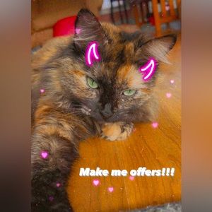 Make me reasonable offers😇🥰✨✨✨